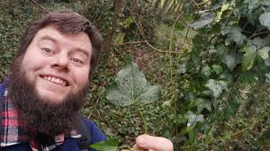 What is your favorite type of ivy?