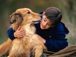 Food, accessories, vet and grooming services. 8 Reasons Why Keeping A Pet Is A Good Idea