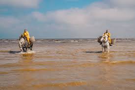 Sommer, sonne, strand und meer soweit das auge reicht: Die 16 Besten Belgische Kuste Sehenswurdigkeiten Belgien Urlaub Tipps