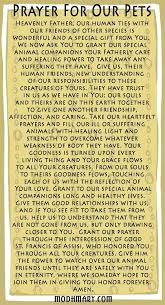 St Francis Of Assisi Prayer Card For Pets Francis Of Assisi Prayer Prayers Pets