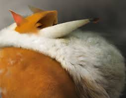 Maybe you would like to learn more about one of these? Yuliya Efimova Net Nichego Bolee Absurdnogo Chem Plovchiha V Kupalnike