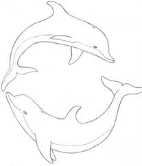 Ecco Dolphin Vi By Sandtaro On Deviantart Dolphin Drawing Dolphin Coloring Pages Dolphin Art