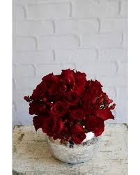 Maybe you would like to learn more about one of these? Cape Coral Flower Delivery Fort Myers Florist