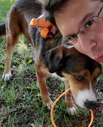 Lost Dog in Mountain Home