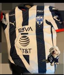 Sitio web oficial del club de futbol monterrey rayados Rayados Monterrey 19 20 Trikots Geleaked Nur Fussball