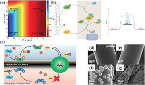 Oxygen is critical for life on earth, produced by plants during photosynthesis and necessary for aerobic respiration in animals. Understanding The Reaction Chemistry During Charging In Aprotic Lithium Oxygen Batteries Existing Problems And Solutions Shu 2019 Advanced Materials Wiley Online Library