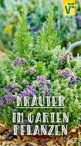 Krauterbeet Anlegen Fur Garten Balkon In 2020 Krauterbeet Garten Pflanzen Krauter Anpflanzen