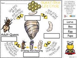 Pin On Bookbop Winnie The Pooh