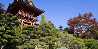 For delivery in san francisco and pickup. Japanese Tea Garden In Golden Gate Park