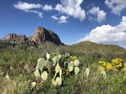 Big bend national park is important because it is the largest protected area in the united states. Downhill Big Bend National Park Texas 2021 Vacationbicycling Com