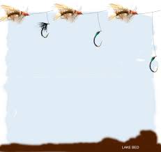 It is easy to set up and is successful in most fly fishing scenarios. Fishing With Stimulator Flies
