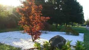 Tora San Park Japanischer Garten In Floridsdorf