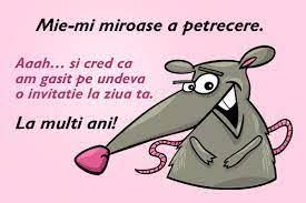 Urari de la multi ani pentru frate. Imagini Pentru Felicitari De La Multi Ani Haioase Funny Happy Birthday Happy Birthday Valentine Happy Birthday