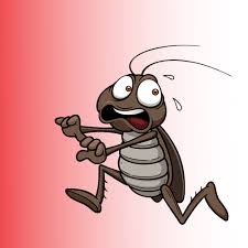 You can feel confident knowing our we provide the consumer with effective pest control products and educate him or her on how to use them safely and properly. Simpsonville S 1 Rated Roach Control Company