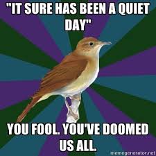 Birds Outside My Window Meme Only When I M Trying To Fall Asleep Does He Begin To Mock Me Outside Of My Window Cursed Bird Nursing Student Humor Student Humor Retail Humor