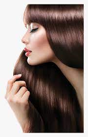 Imaxtree new year, new hair? Transparent Hair Salon Clipart Beauty Salon Png Png Download Kindpng