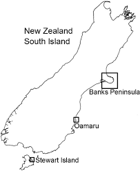 Listen for an hour and discover our acoustic, electric, classic and eclectic selections. Sampling Sites Of Little Penguins On The South Island New Zealand Download Scientific Diagram