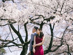 8 hours coverage per day. Vacation And Pre Wedding Photographer In Japan