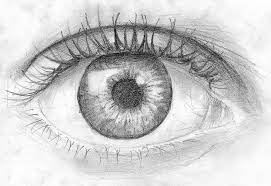 When the eyes are open, a crease forms on the eyelids. How To Draw An Eye In Pencil Coloring Page Trace Drawing
