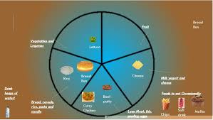 australian guide to healthy eating pie diagram of my clients