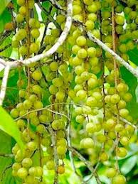 Though it's odour may not attract tourist but once. Fruits Of Malaysia