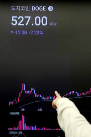 그 이상,도지 코인 가격의 2021 강력한 성장 덕분에이 동전의 광업은 더 많은 수익을 얻었습니다. L9pkgz47qimgsm