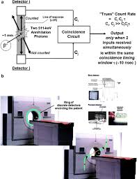 Start by checking the patient and image details. Instrumentation Springerlink
