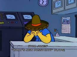 Thekwikemart What S New Pussycat Job Humor Funny Hats