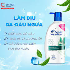 REVIEW] 8 loại dầu gội trị gàu hiệu quả được ưa chuộng nhất
