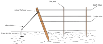 Nmsu Trellis End Post Assembly Designs For Vineyards