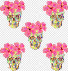 Sugar skulls illustration, calavera skull u9ab7u9ac5 pattern, skull background, happy birthday vector images, sugar skull, skull head png. Flower Euclidean Pattern Flowers Skull Happy Birthday Vector Images Flowers Png Pngegg