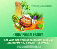 100% free greeting card maker online. Happy Pongal 2021 Best Wishes Quotes Messages For Pongal Festival