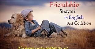 We did not find results for: Best Friendship Shayari Status Message In English Colletion Love Shayari In Hindi Top Collection Of Romantic Love Shayari
