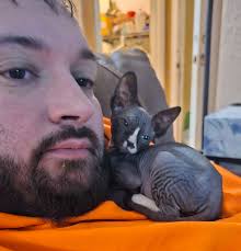 Always the king of comfort! Any other kitties just let it all hang out? 😂 