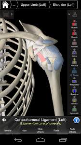 Unlike other 3d apps, which rely on predefined anatomic arrangements and regional dissections to guide the user, 3d4medical's essential anatomy 3 lets you find what you are looking for without complication. Essential Anatomy 3 For Orgs For Android Apk Download