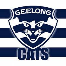 Official instagram of the geelong football club #wearegeelong www.geelongcats.com.au. Geelong Cats Vs Gold Coast Suns Afl Live Scores
