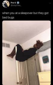 Found this bed bug while changing my sheets today. 25 Best Bed Bugs Memes Taking Pictures Memes The Memes Pictures For Memes