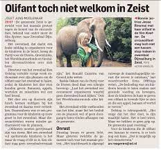 na snelle actie van onder andere groenlinks werd voorkomen dat een olifant werd ingezet als kinderspeelgoed in zwembad dijnselburg