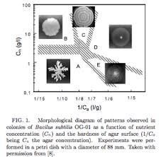 Patterns Of Bacterial Growth Microbewiki