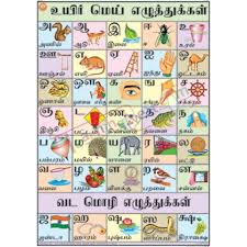 Tamil Alphabet Chart 70x100cm