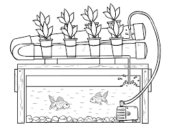 Diy Aquaponic Pvc Garden The Permaculture Research Institute