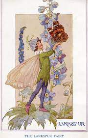 Flower Fairy Larkspur Fairy Flower Fairies Fairy Pictures