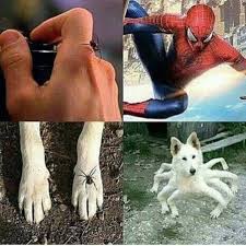 1440x2960 qhd 1440x2560 qhd 1080x1920 full hd 720x1280 hd. Cursed Comedycemetery