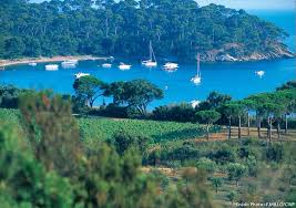 Check spelling or type a new query. La Londe Les Maures Var Provence Vakantie Reizen Provence