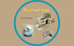 What are the 6 different types of fossils?