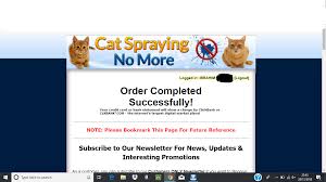 Don't hit your cat for spraying. Cat Spraying No More Review Does It Actually Work Click Here