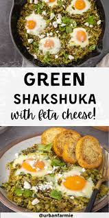 Green Shakshuka With Tomatillos Recipe In 2021 Vegetarian Recipes Easy Shakshuka Recipes Shakshuka