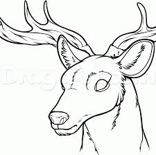 900x1165 portrait drawing by dulceteffusion. Easy Draw Deer Head Novocom Top