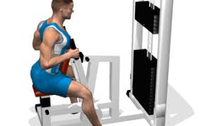 In palestra potete ovviare con la lat machine ed altre macchine, in casa no. Esercizi Dorsali I Migliori Esercizi Per Allenare I Tuoi Dorsali Evolutionfit