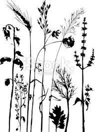 Black And White Vector Art Flowers Silhouettes Of Flowers And Grass Hand Drawn Vector Illustration Hand Drawn Vector Illustrations Botanical Illustration Black And White Flower Silhouette